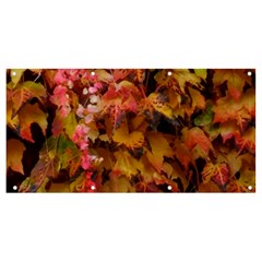 Red And Yellow Ivy  Banner And Sign 8  X 4  by okhismakingart