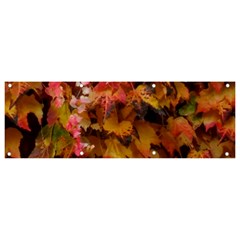 Red And Yellow Ivy  Banner And Sign 9  X 3  by okhismakingart