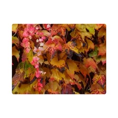 Red and Yellow Ivy  Premium Plush Fleece Blanket (Mini)