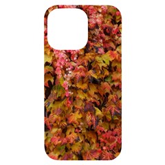 Red And Yellow Ivy  Iphone 14 Pro Max Black Uv Print Case by okhismakingart