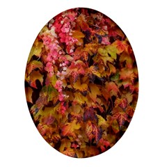 Red And Yellow Ivy  Oval Glass Fridge Magnet (4 Pack) by okhismakingart