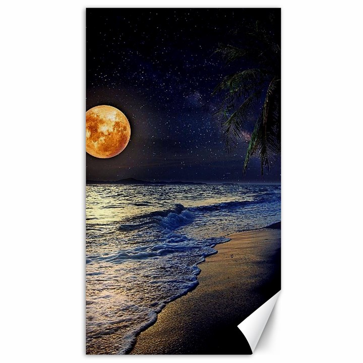 Beautiful Moon Nigh Sky Stars Canvas 40  x 72 