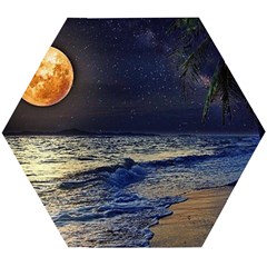 Beautiful Moon Nigh Sky Stars Wooden Puzzle Hexagon by Cowasu