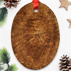 Annual-rings Ornament (oval) by nateshop