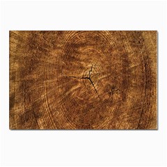 Annual-rings Postcards 5  X 7  (pkg Of 10)