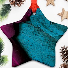 Plumage Ornament (star) by nateshop