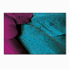 Plumage Postcards 5  X 7  (pkg Of 10) by nateshop