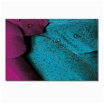 Plumage Postcards 5  x 7  (Pkg of 10) Front