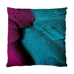 Plumage Standard Cushion Case (one Side) by nateshop