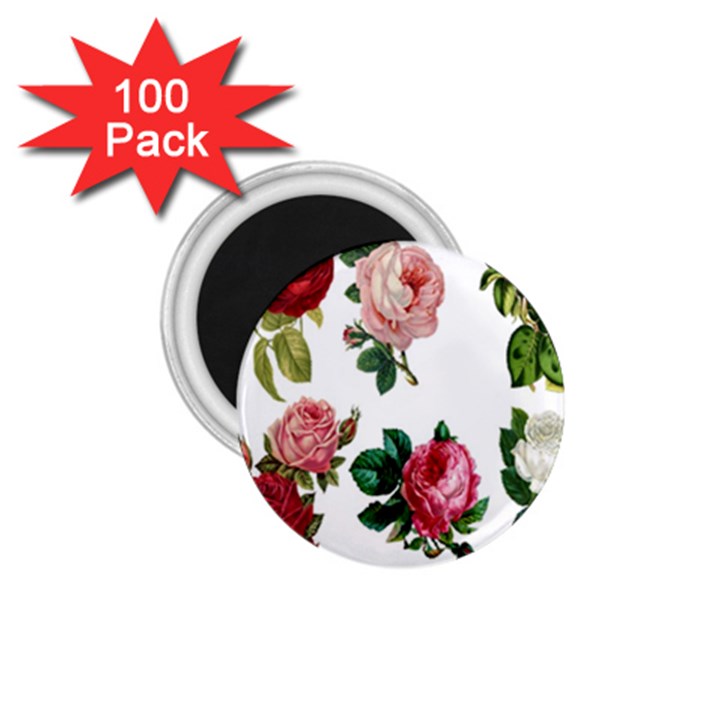 Roses-white 1.75  Magnets (100 pack) 