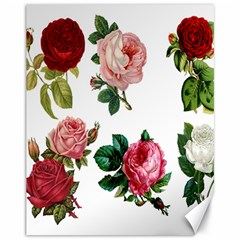 Roses-white Canvas 11  X 14  by nateshop