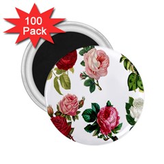 Roses-white 2 25  Magnets (100 Pack)  by nateshop