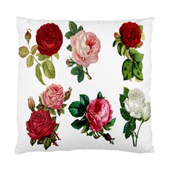 Roses-white Standard Cushion Case (one Side) by nateshop