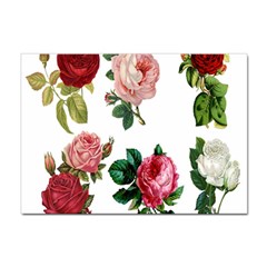 Roses-white Sticker A4 (100 Pack) by nateshop