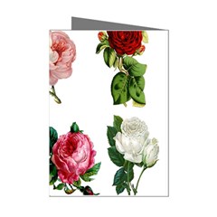 Roses-white Mini Greeting Cards (pkg Of 8) by nateshop