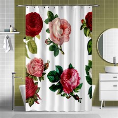 Roses-white Shower Curtain 48  X 72  (small)  by nateshop