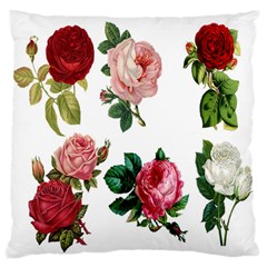 Roses-white Standard Premium Plush Fleece Cushion Case (one Side) by nateshop