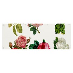 Roses-white Banner And Sign 8  X 3  by nateshop