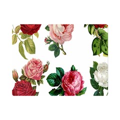 Roses-white Premium Plush Fleece Blanket (mini) by nateshop