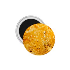 Water-gold 1 75  Magnets by nateshop