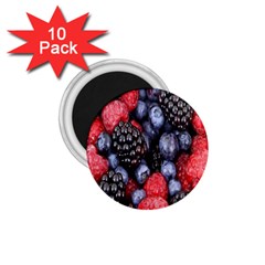 Berries-01 1 75  Magnets (10 Pack)  by nateshop