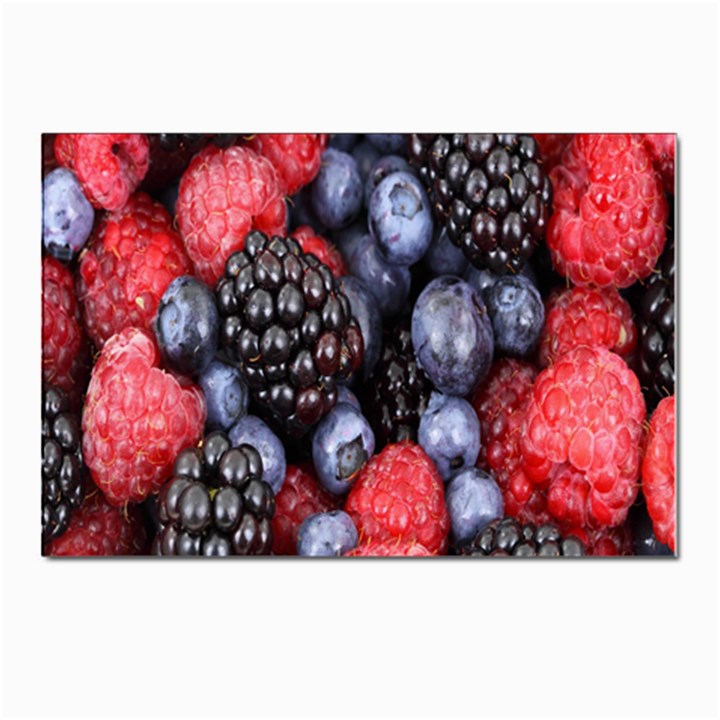 Berries-01 Postcards 5  x 7  (Pkg of 10)