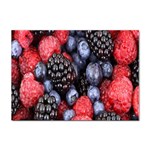 Berries-01 Sticker A4 (10 pack) Front