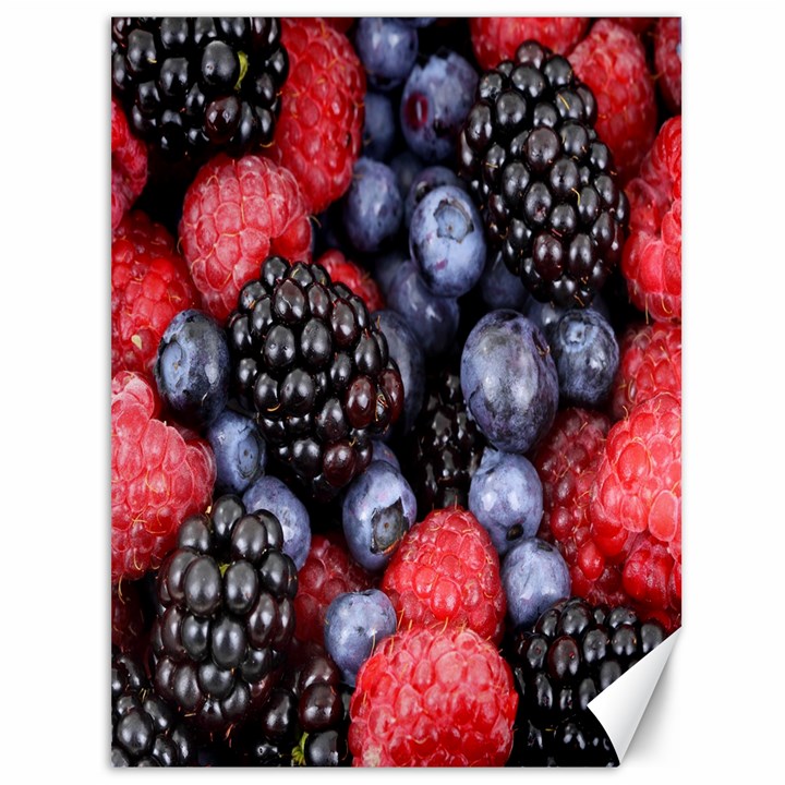 Berries-01 Canvas 36  x 48 