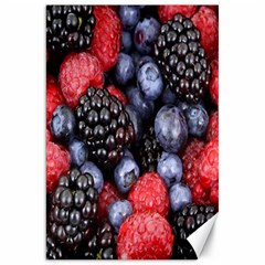 Berries-01 Canvas 20  X 30  by nateshop