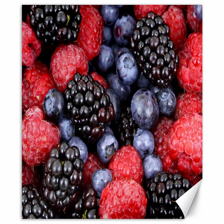 Berries-01 Canvas 8  x 10 