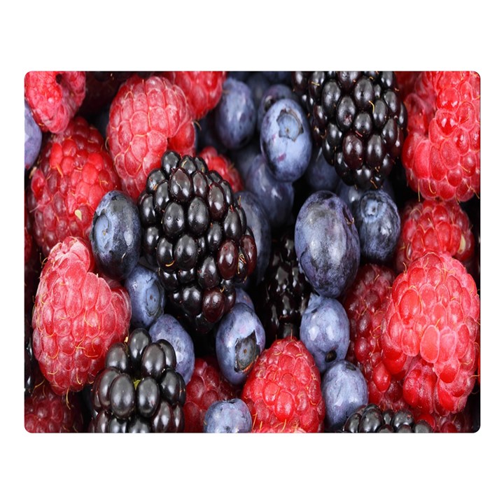 Berries-01 Two Sides Premium Plush Fleece Blanket (Large)