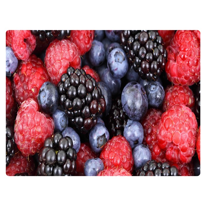 Berries-01 Premium Plush Fleece Blanket (Extra Small)