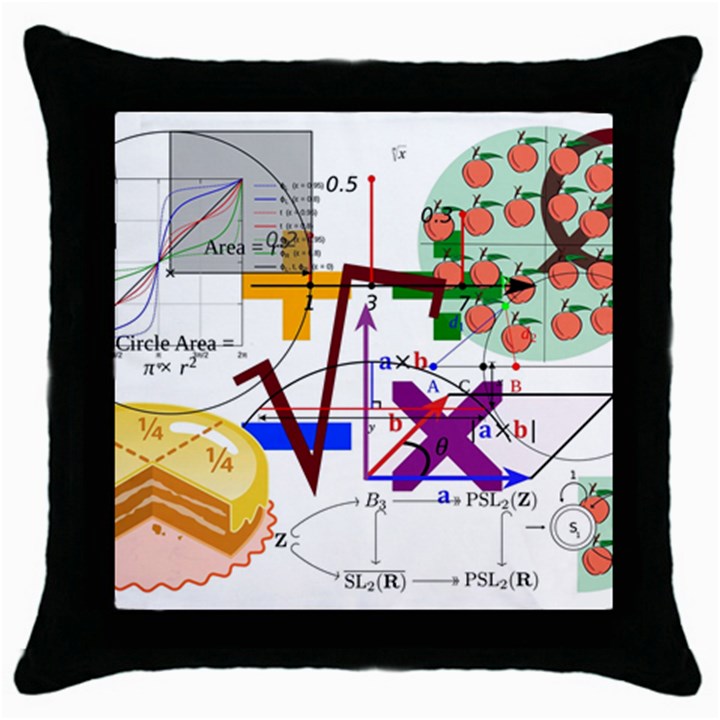 Mathematics Formula Physics School Throw Pillow Case (Black)