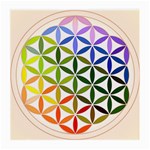 Mandala Rainbow Colorful Medium Glasses Cloth (2 Sides) Front