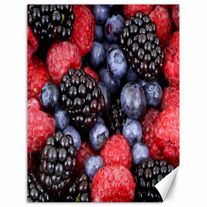 Berries-01 Canvas 18  x 24 