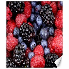 Berries-01 Canvas 20  X 24  by nateshop