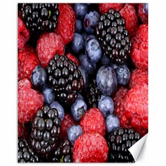 Berries-01 Canvas 16  X 20  by nateshop