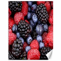 Berries-01 Canvas 36  X 48  by nateshop