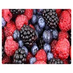 Berries-01 Premium Plush Fleece Blanket (Medium) 60 x50  Blanket Front