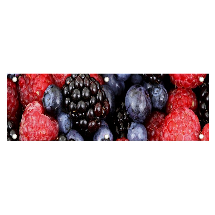 Berries-01 Banner and Sign 6  x 2 