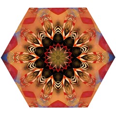 Abstract-kaleidoscope-design Wooden Puzzle Hexagon by Bedest