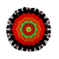 Abstract-kaleidoscope-colored Standard 15  Premium Flano Round Cushions by Bedest