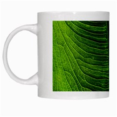 Green-leaf-plant-freshness-color White Mug by Bedest