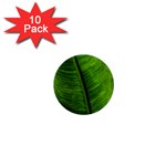 Green-leaf-plant-freshness-color 1  Mini Buttons (10 pack)  Front