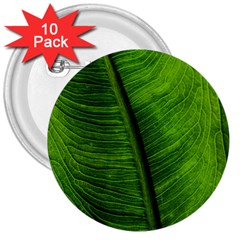 Green-leaf-plant-freshness-color 3  Buttons (10 Pack)  by Bedest