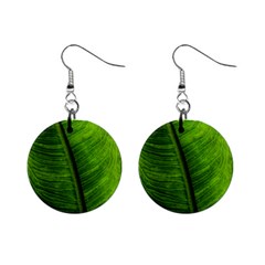 Green-leaf-plant-freshness-color Mini Button Earrings by Bedest