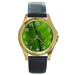 Green-leaf-plant-freshness-color Round Gold Metal Watch by Bedest