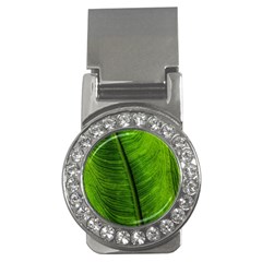 Green-leaf-plant-freshness-color Money Clips (cz)  by Bedest