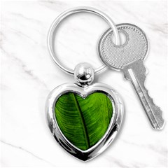 Green-leaf-plant-freshness-color Key Chain (heart) by Bedest