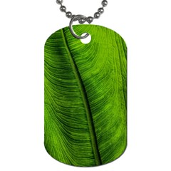 Green-leaf-plant-freshness-color Dog Tag (one Side) by Bedest